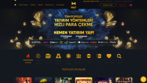 Maltcasino casino sitesi